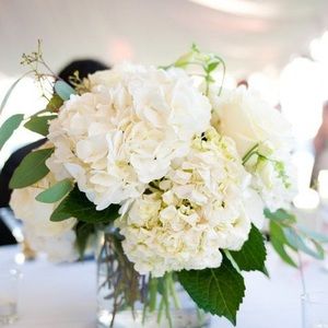 Meet your Posher, Brianda